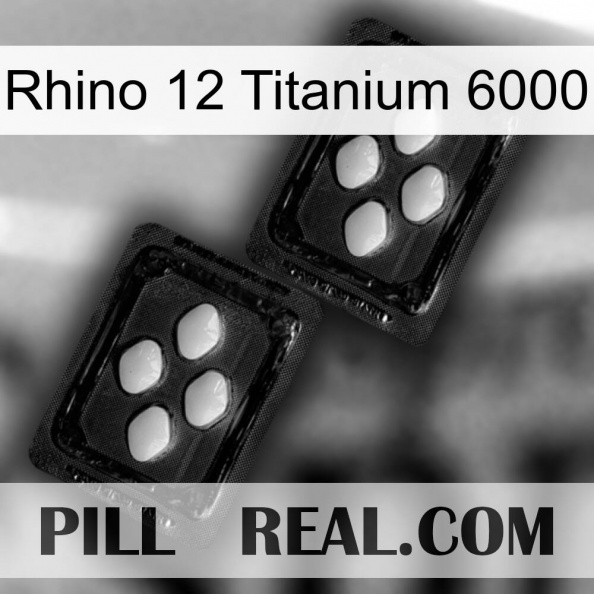 Rhino 12 Titanium 6000 03.jpg